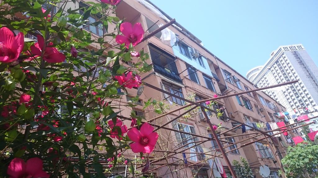 Comfortable Apartment In Μπατούμι Εξωτερικό φωτογραφία
